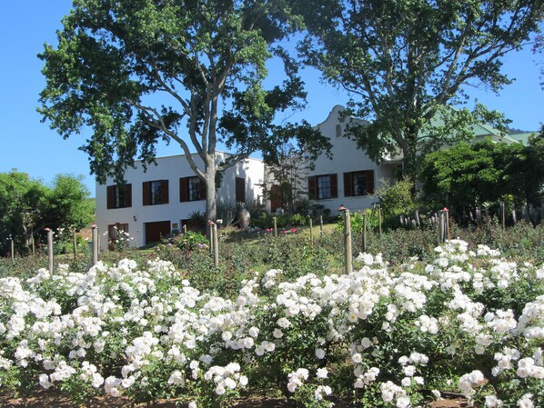 Front of property - Aan-den-Weg (Stellenbosch)