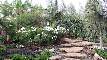Tuin
