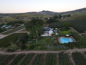 A large house surrounded by vineyards, a swimming pool, and a well-maintained garden. - Aan-den-Weg (Stellenbosch)