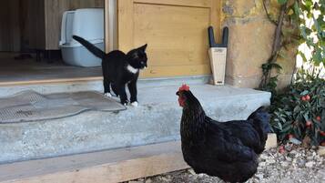 Enceinte de lâhĂ©bergement