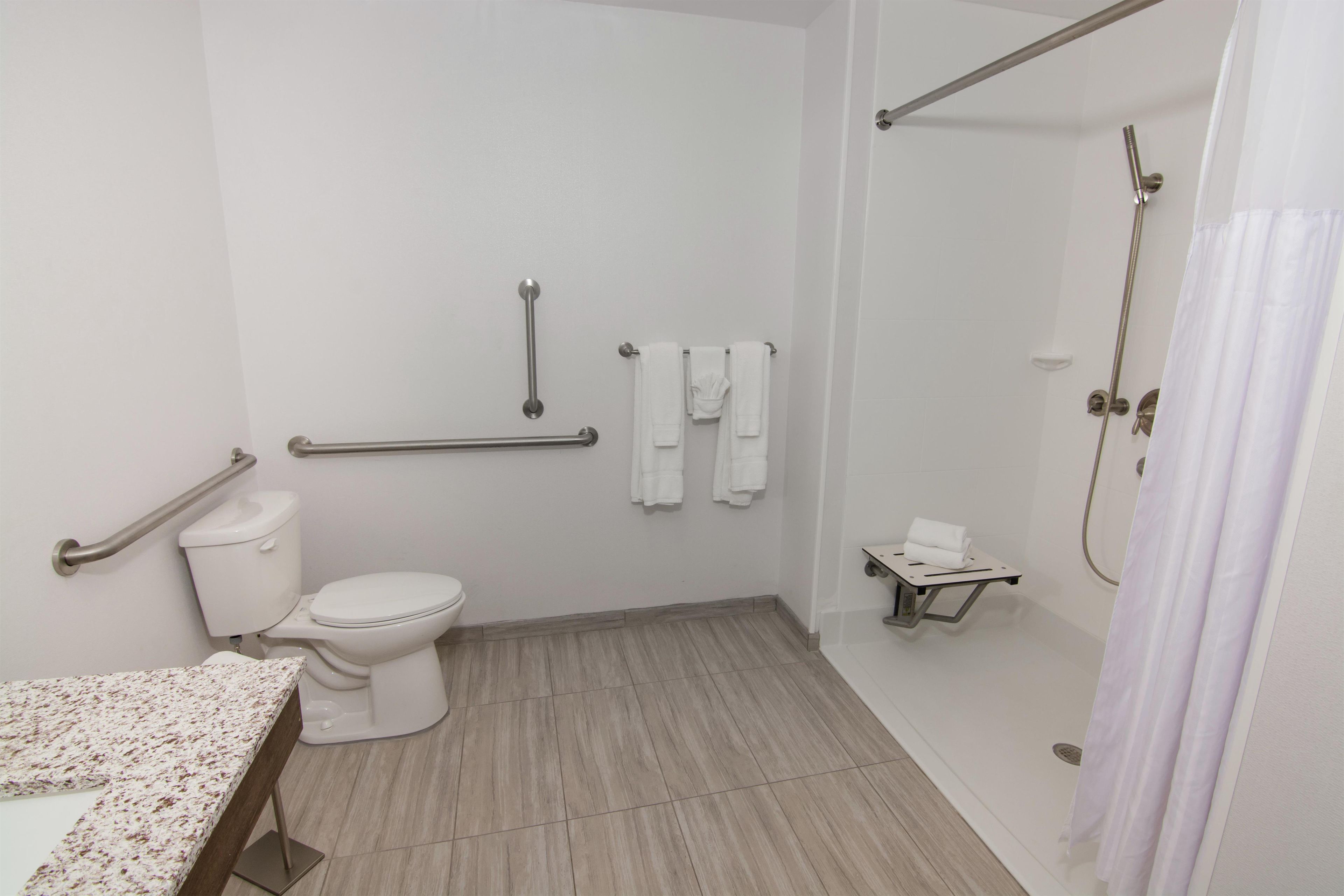 A bathroom with a toilet, a shower, and a grab bar.