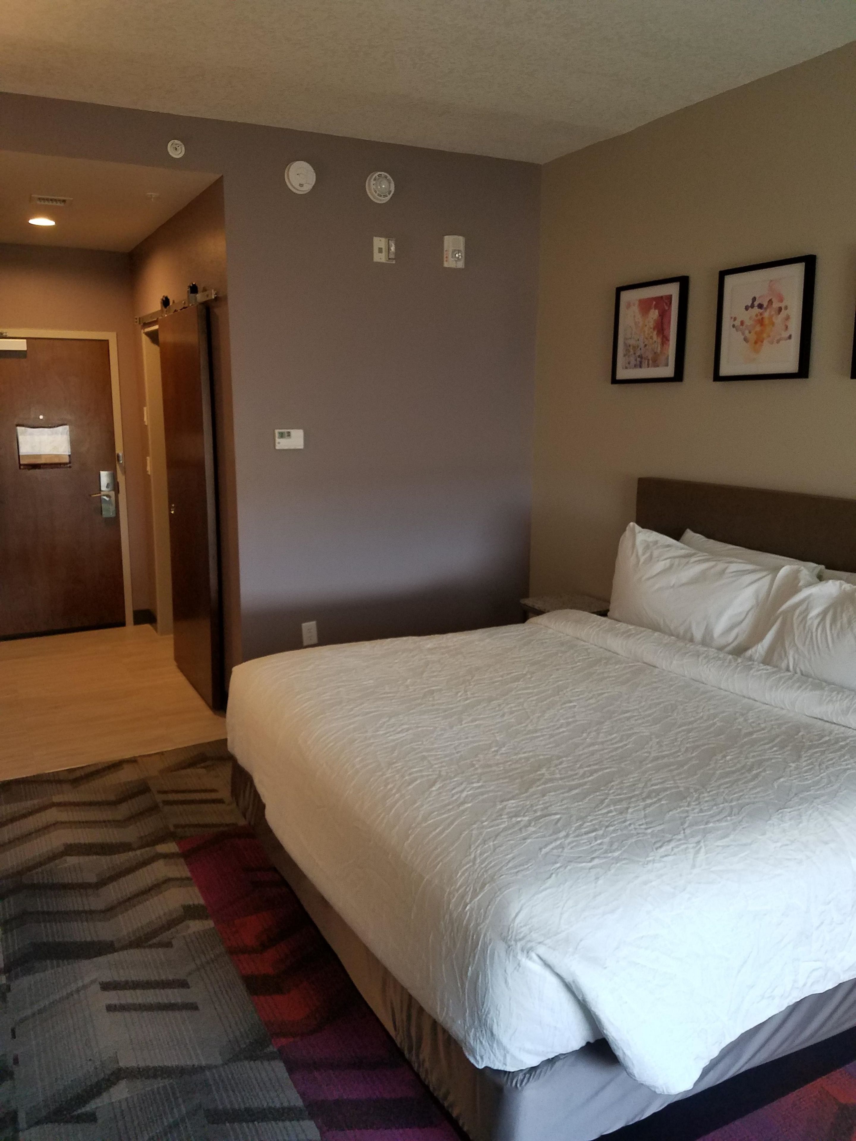 room, 1 king bed, accessible, non smoking (hearing acc) | view from room