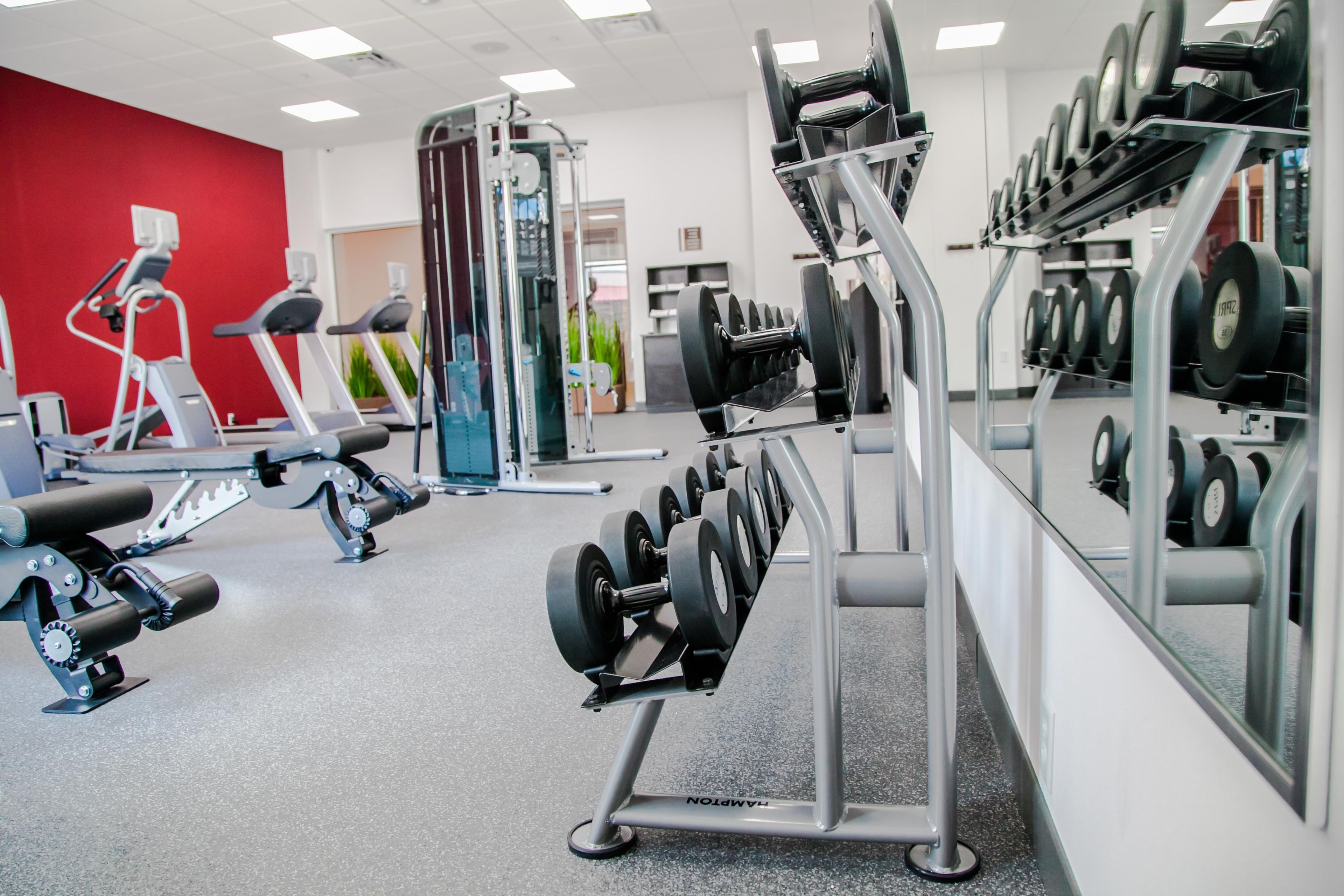 A gym with exercise equipment, including treadmills and weight machines.