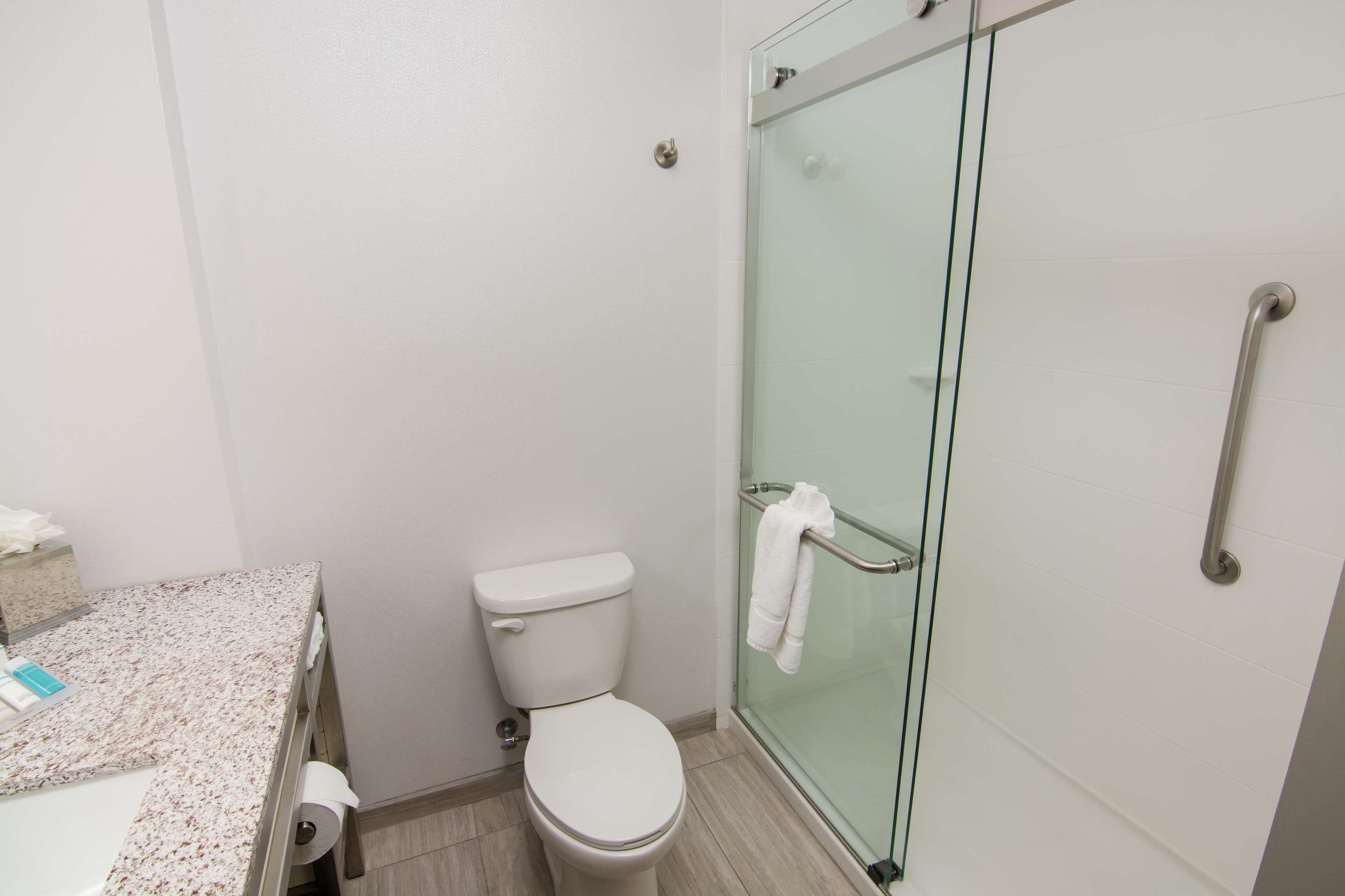 A bathroom with a toilet, a glass shower enclosure, and a marble countertop.