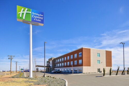 Holiday Inn Express & Suites Van Horn by IHG