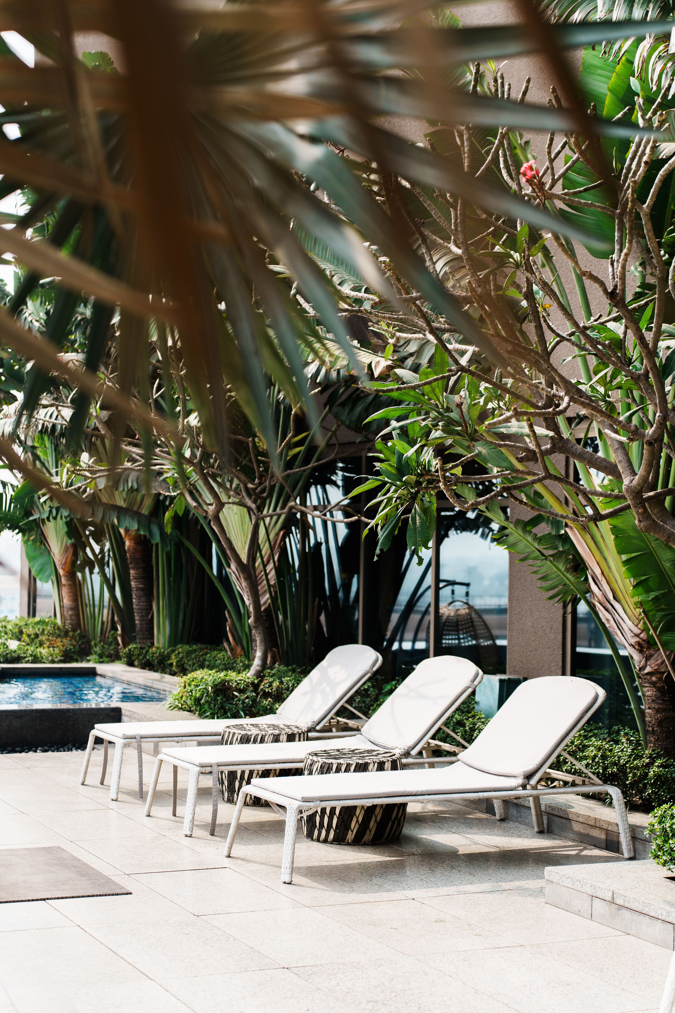 outdoor pool, open 6:00 am to 9:00 pm, pool umbrellas, pool loungers