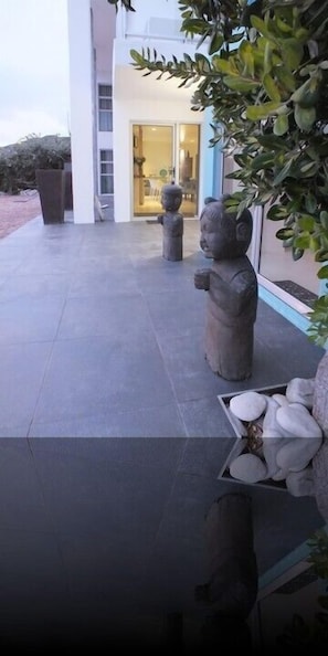 Terraza o patio