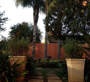 Garden - Falling Feather Inn (Pretoria)