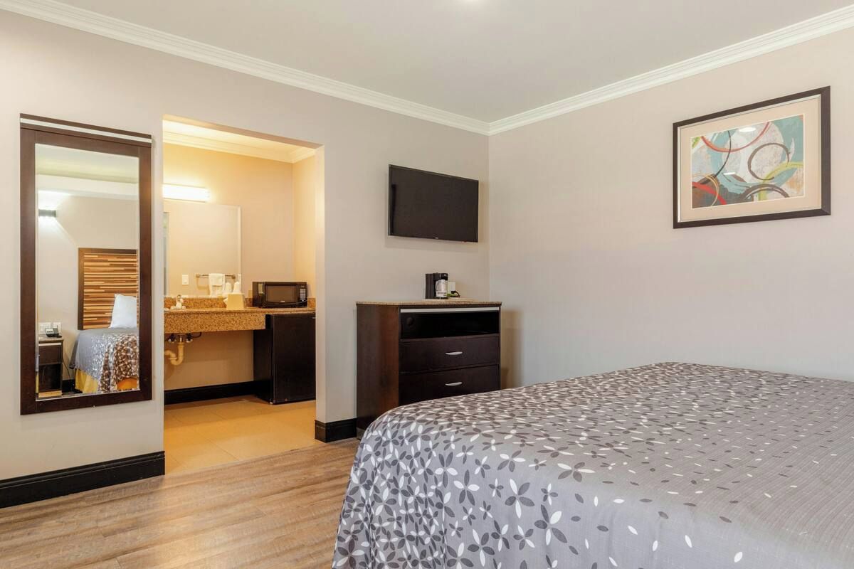 A hotel room with a bed, a television, a desk with a computer, a mirror, and a framed picture on the wall.