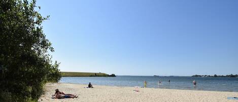 Plage, chaises longues