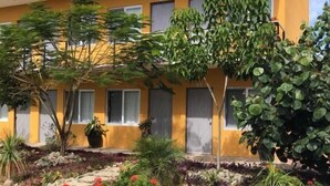 A yellow building with multiple windows, surrounded by a landscaped garden with various plants and flowers. - Hotel Guivá San Pablo (Oaxaca)