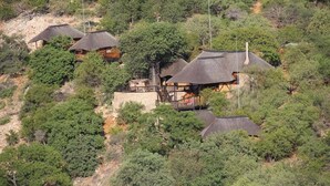Safari - Adansonia Eco Lodge (Musina)