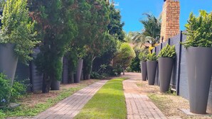 Un sendero bordeado por plantas en macetas y un muro de ladrillo.