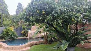 Un patio trasero con piscina, un árbol frutal grande y diversas plantas.