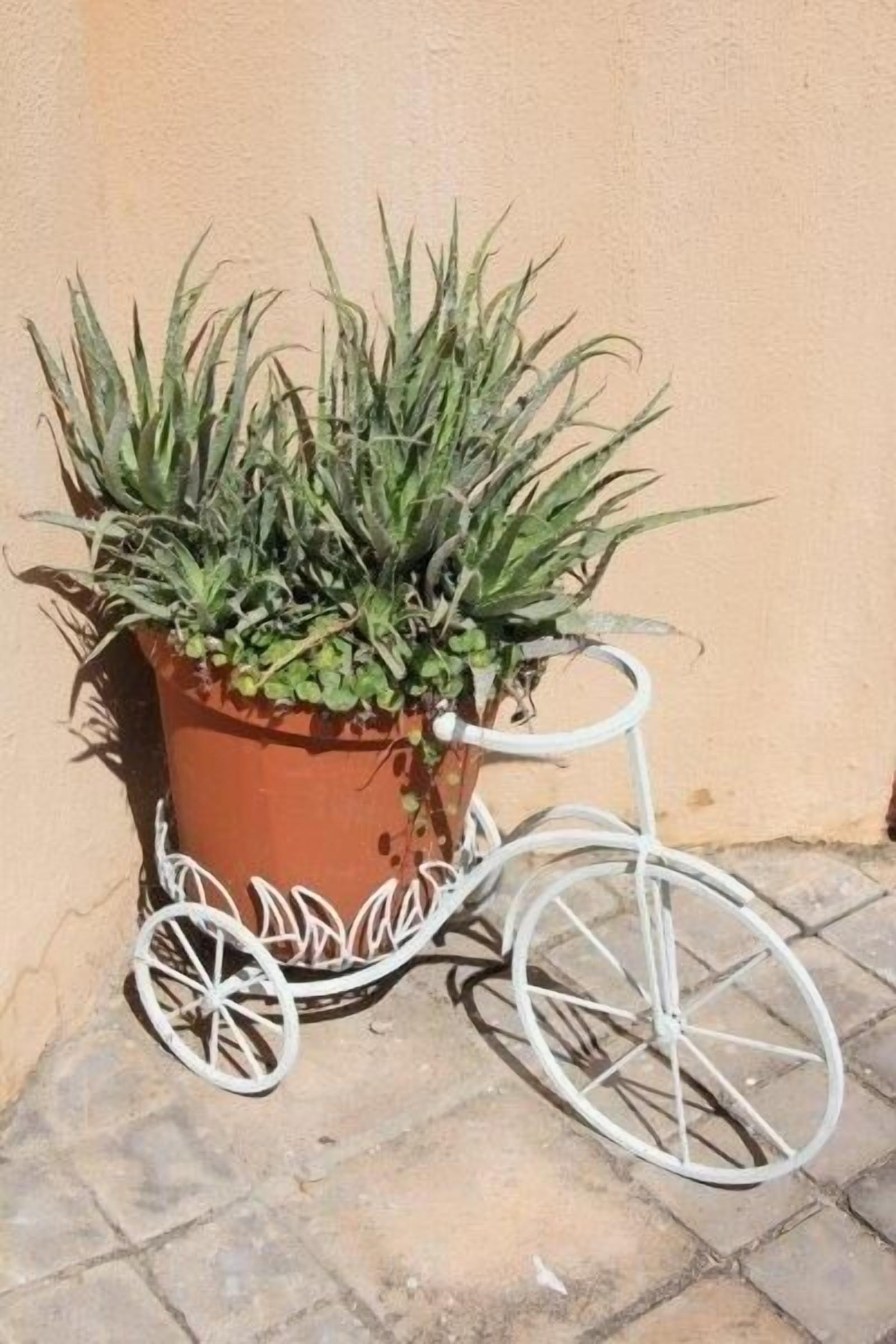 A potted plant with a bicycle wheel planter.