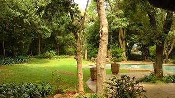 Kolam renang outdoor