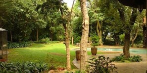 Kolam renang outdoor