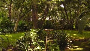 Jardín