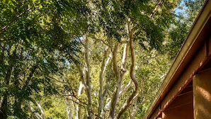 A pathway leading to a building with a covered porch area. - Villas At Poco Diablo (Sedona)