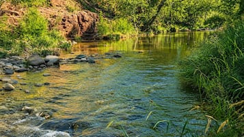 A clear stream with rocks and greenery.