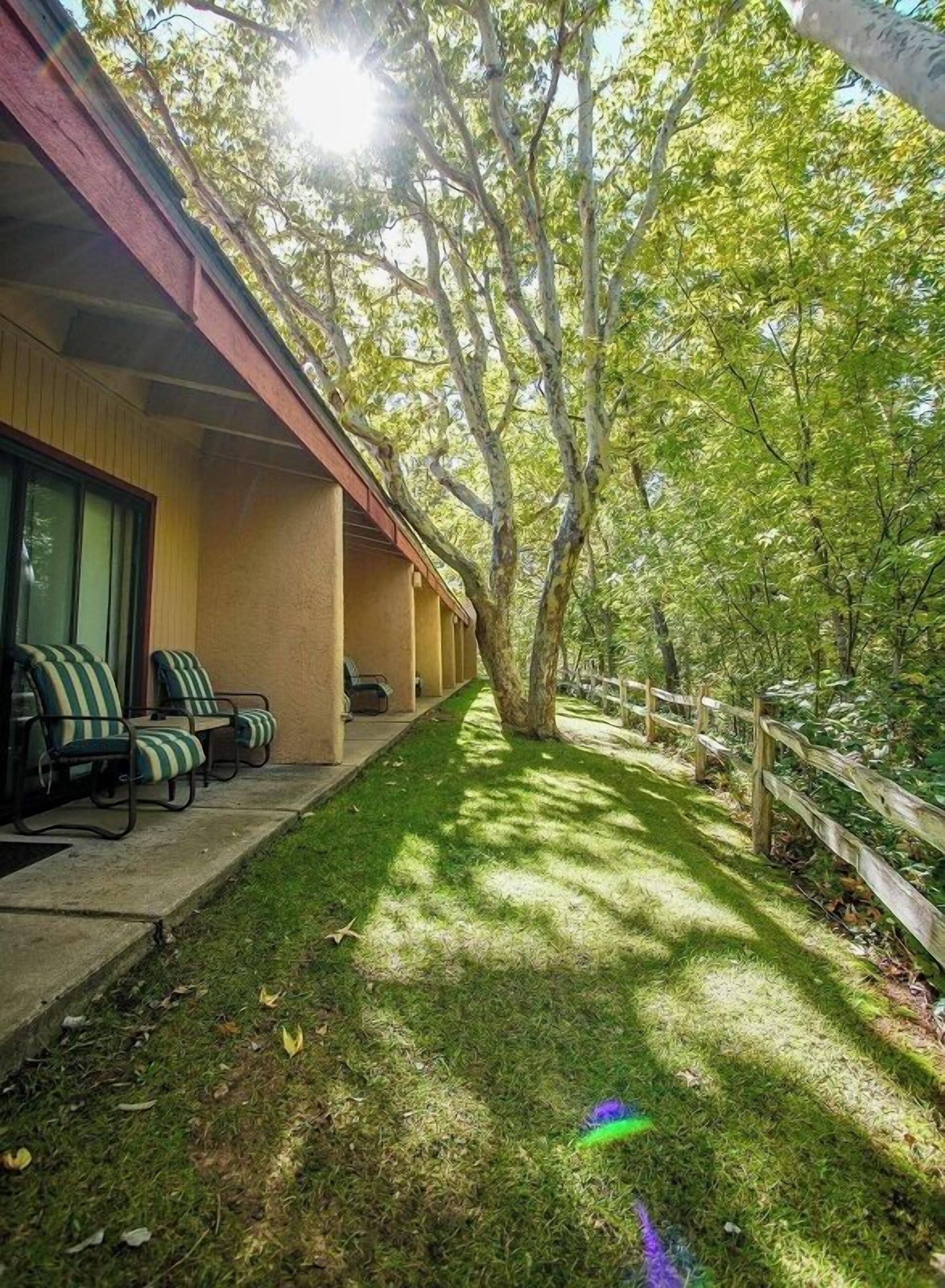 ル ーム 1 ベッドルーム | 部屋からの景観