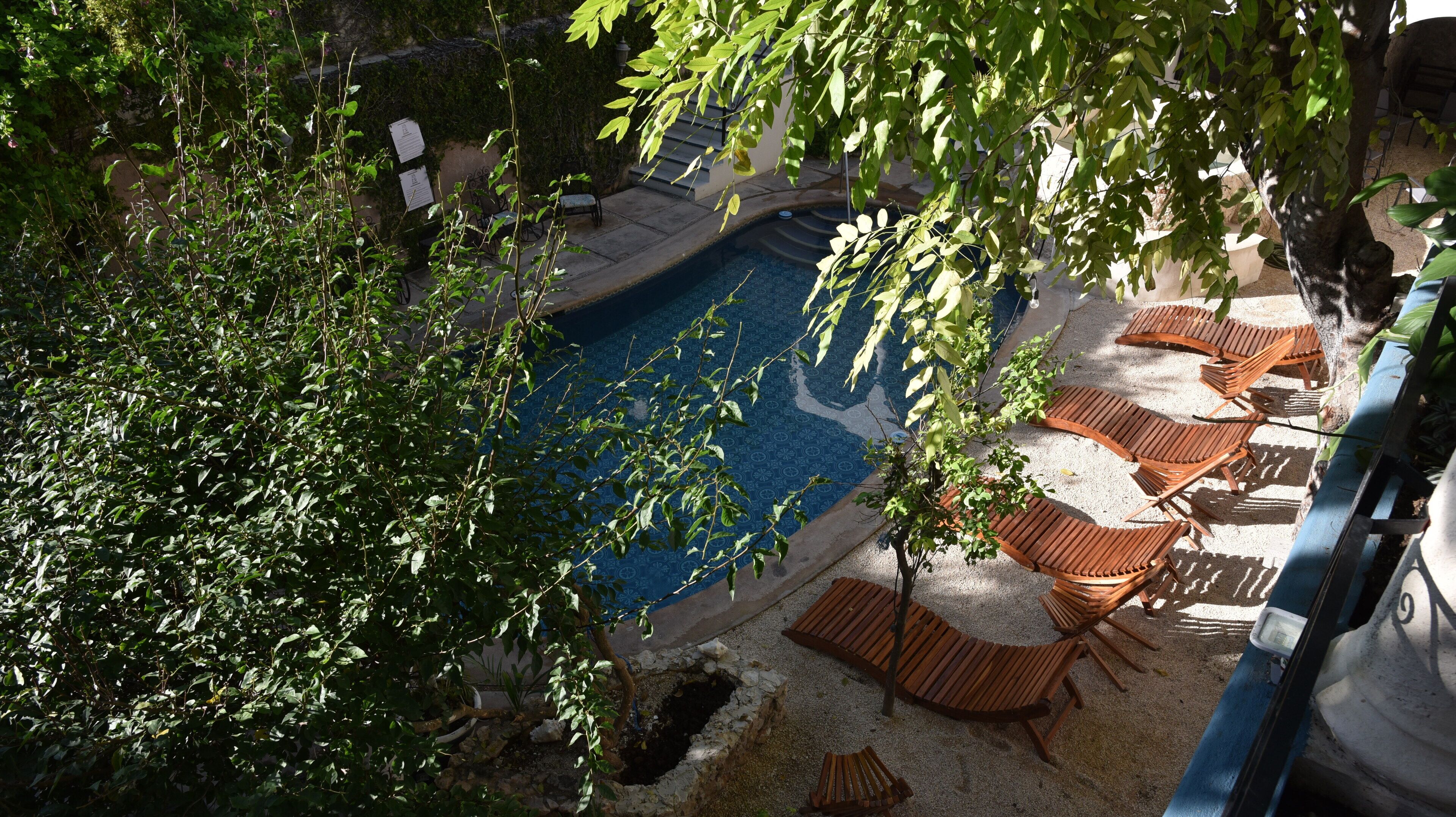 Una piscina rodeada de sillas de descanso y follaje.