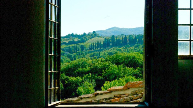 Une vue sur un paysage de vignoble, avec des collines ondoyantes et des arbres, depuis une fenêtre.