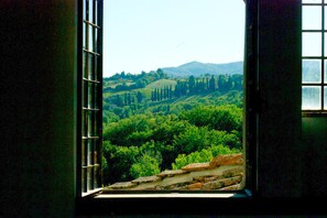 Vista desde una ventana a un paisaje de viñedos, con colinas ondulantes y árboles.
