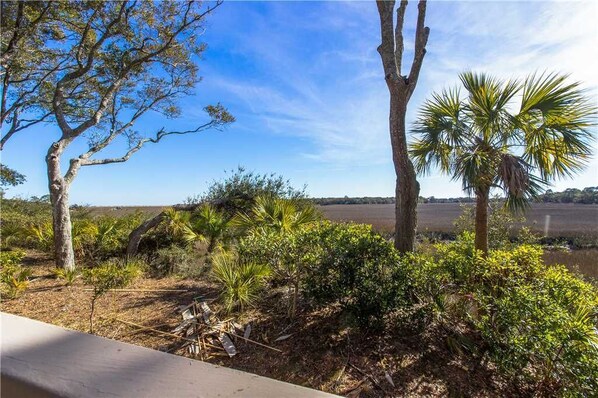 Villa, 2 habitaciones | Áreas de la propiedad