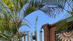 Uma área de piscina com piso em azulejo, uma parede decorativa com mosaicos e plantas em vasos.