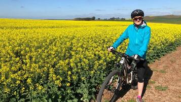 A person on a bicycle in a field of yellow flowers.