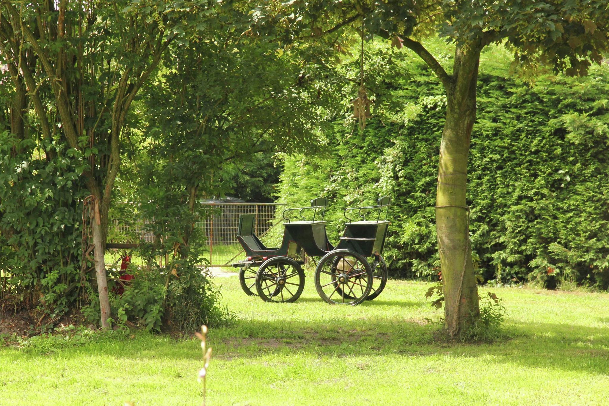 A park with two green chairs and a small table under a tree.