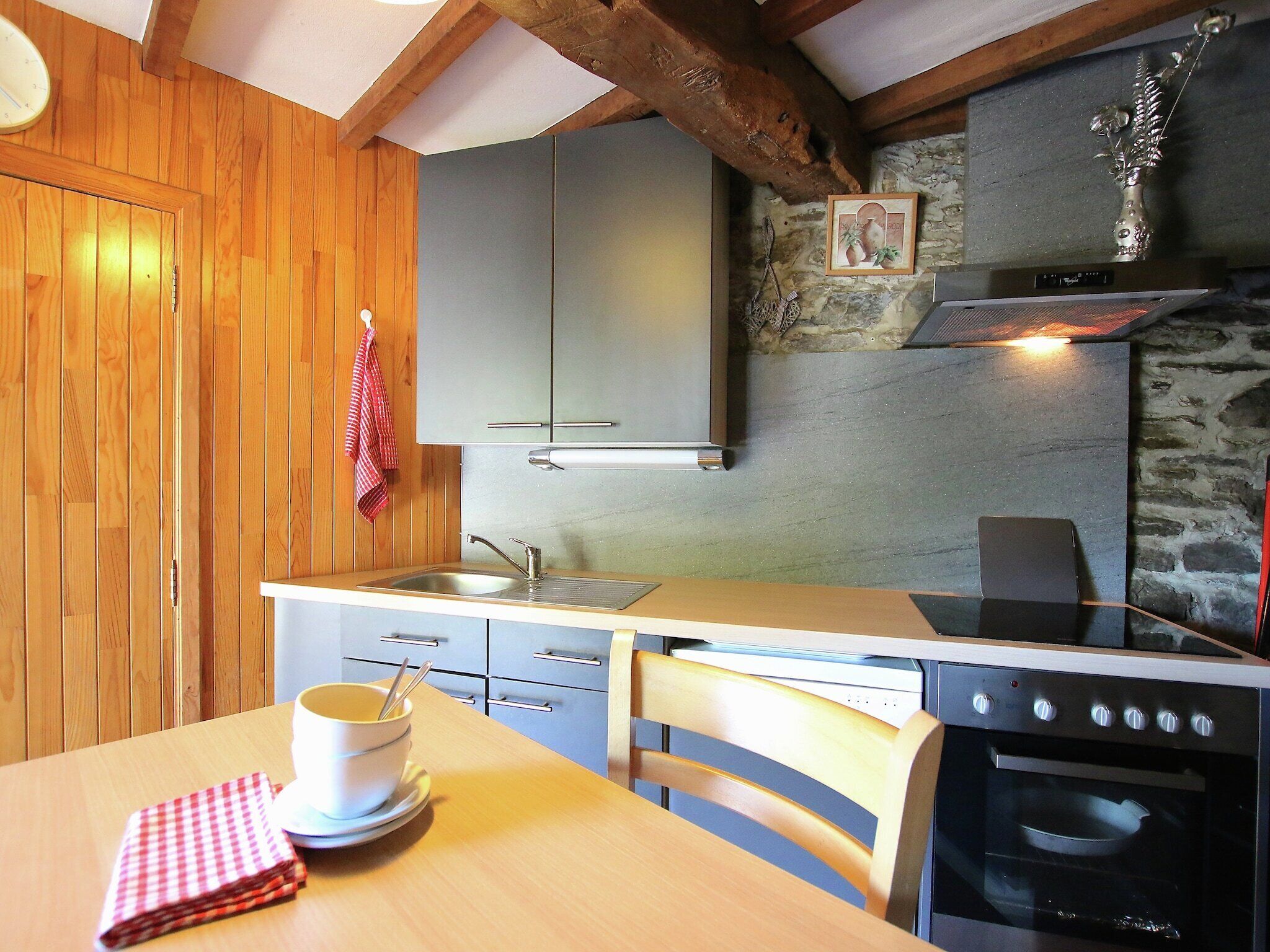 Een microgolfoven, een oven, een kookplaat, een vaatwasser