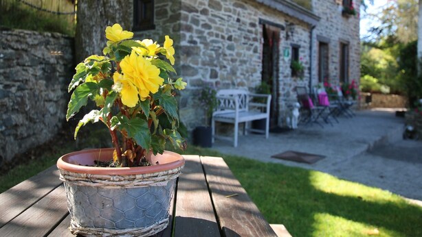 Un edificio in pietra con un'area giardino, una panchina di legno e una pianta in vaso con fiori gialli.