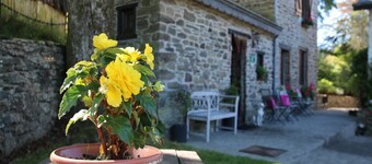 Forest Hideaway, Baillamont