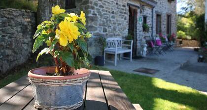 Forest Hideaway, Baillamont