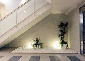 A modern interior with a staircase, white pebble flooring, and potted plants.