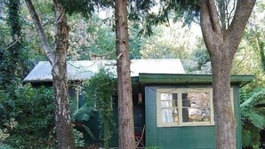 A small, green wooden cabin with a window, surrounded by dense foliage and trees.