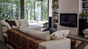 Televisie, een open haard, een tafeltennistafel en een stereo