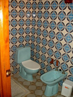 Shower, free toiletries, towels