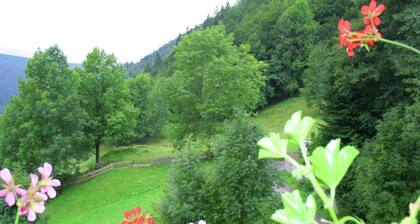 Wohnung in Brandenberg mit Terrasse