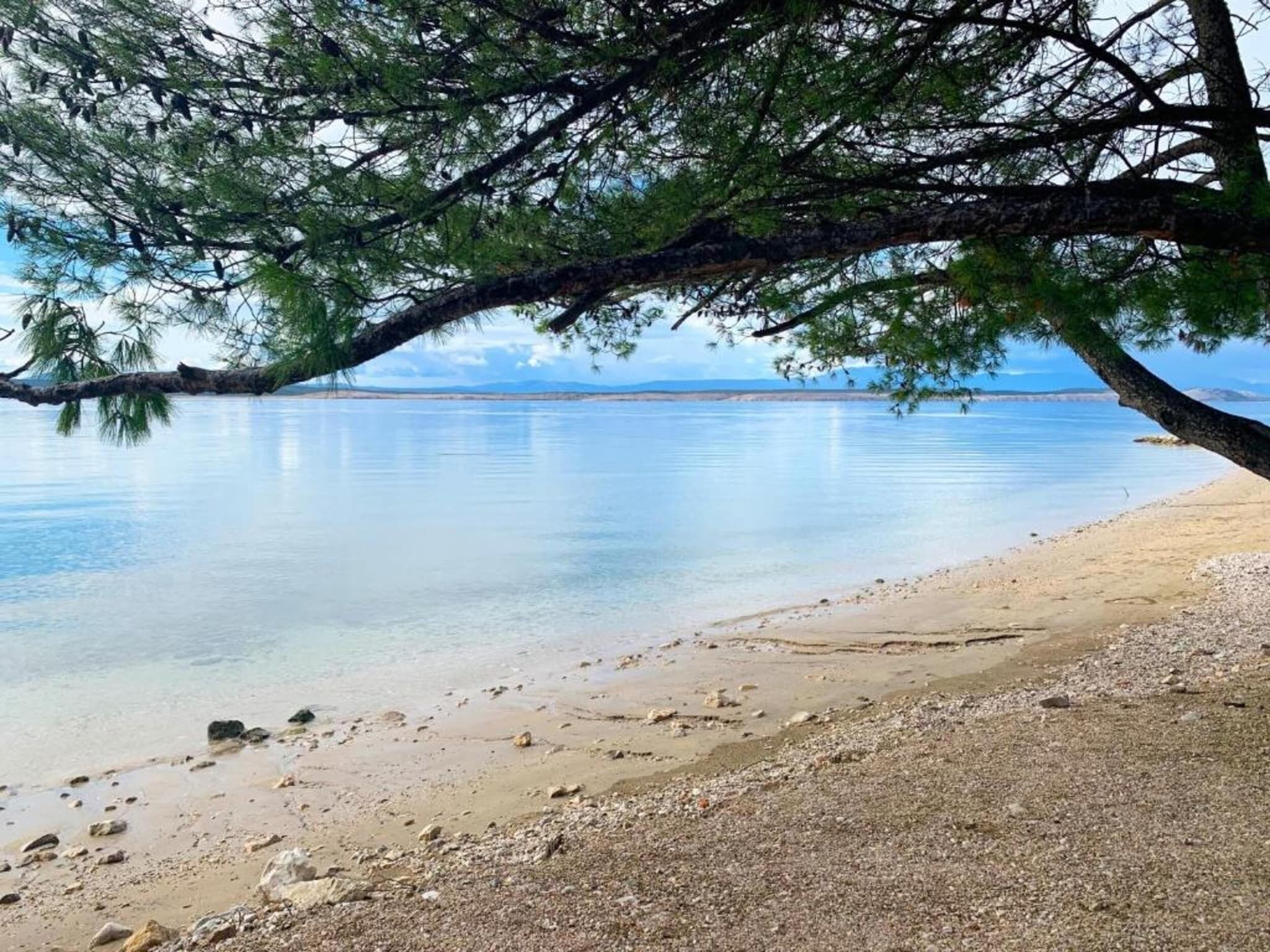 Un lac paisible, avec une rive de galets et une branche d’arbre qui s’étend au-dessus de l’eau.