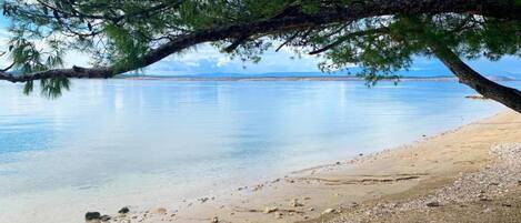 Un lac paisible, avec une rive de galets et une branche d’arbre qui s’étend au-dessus de l’eau.