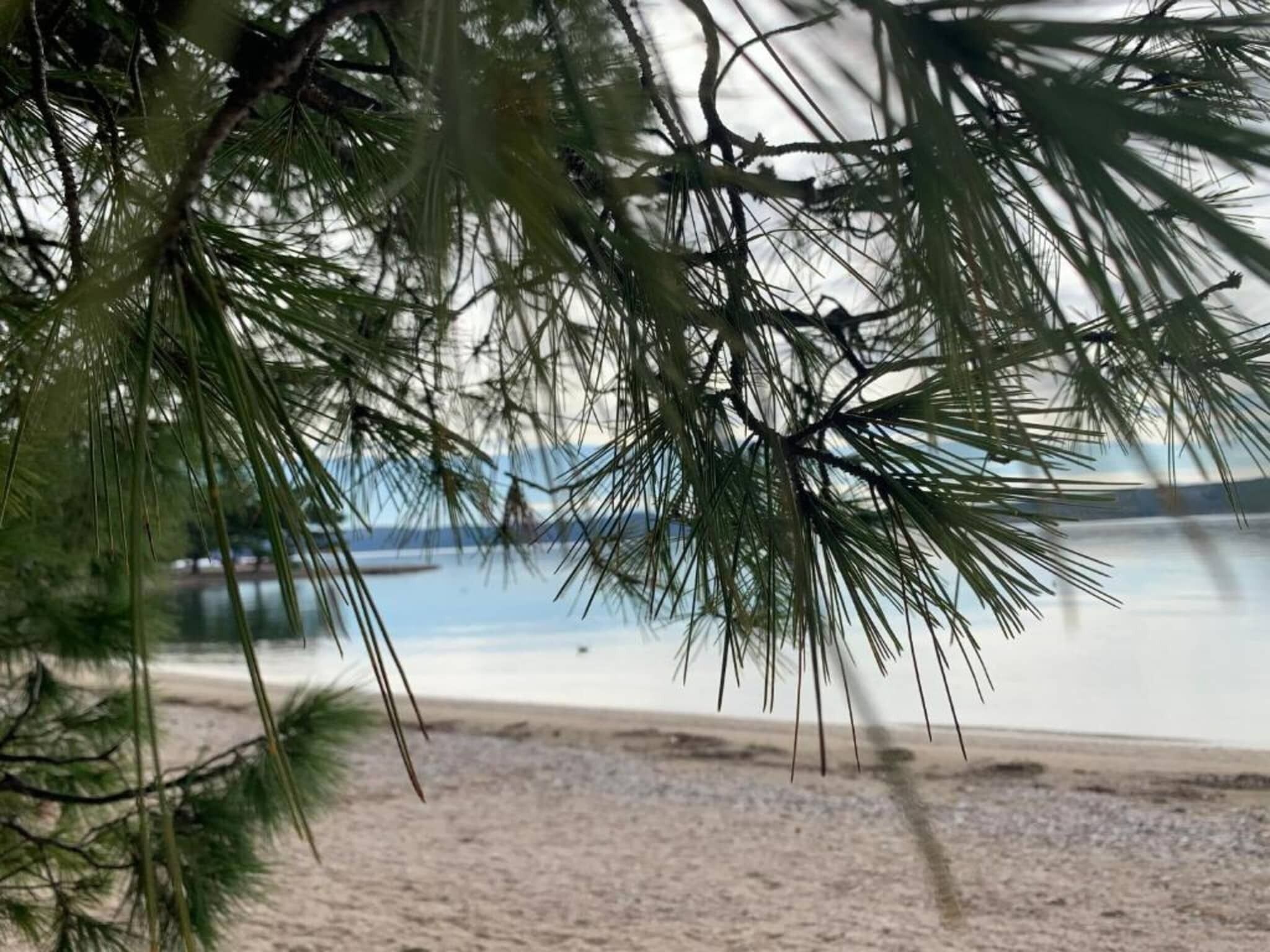 A beach with clear water and distant land.