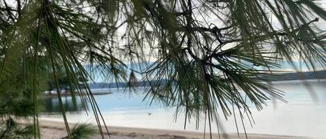 A beach with clear water and distant land.