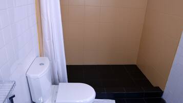A bathroom with a toilet, a sink, and a shower area.