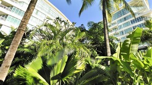 Un edificio moderno con varios pisos y grandes ventanales, rodeado de exuberantes palmeras y vegetación tropical.