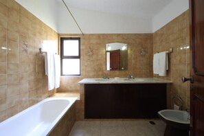 Bathtub, bidet, towels