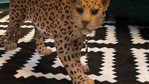 A leopard statue with a glass table in front of a teal sofa and a patterned rug. - SmartHotel Flamingo self-check-in (Giessen)