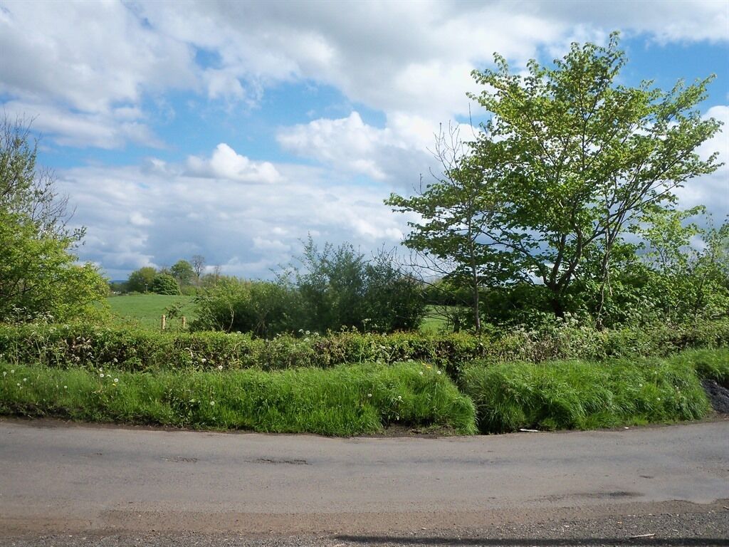 A rural road with a tree-lined hedge and a clear sky.